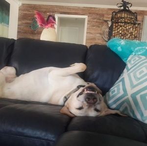 Meet your Posher, Carol